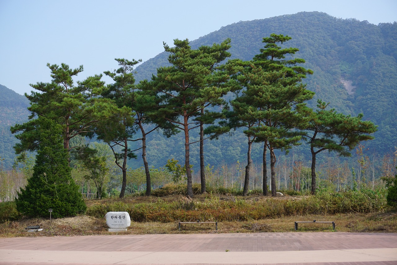 남이섬정관루